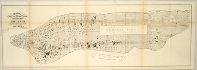 Map of the City of New York showing the Location of Small Pox, from May 1st 1874 to April 30th 1875 by American School