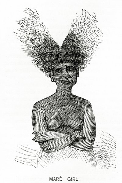 Mare Girl, Illustration from Appletons Journal, May 4, 1872 by American School