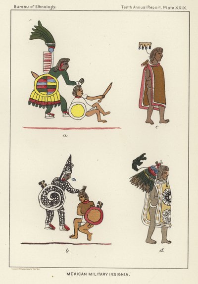 Mexican Military Insignia by American School