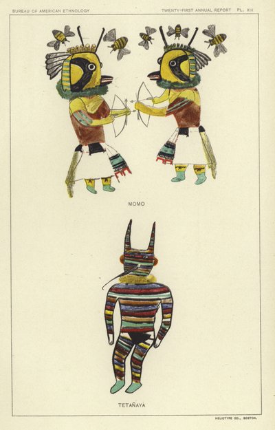 Momo, Tetanaya by American School