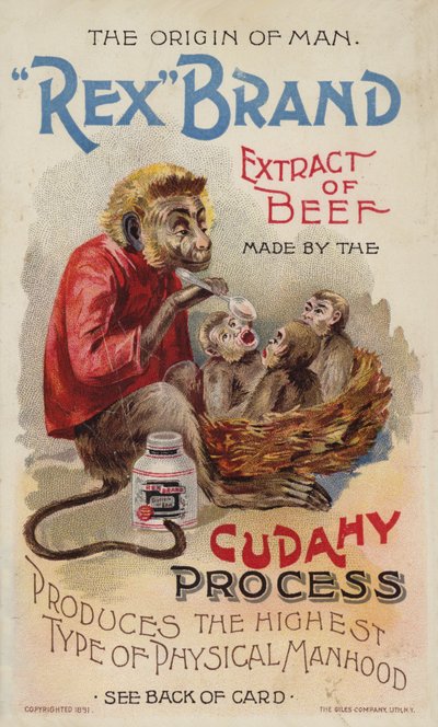 Monkey Feeding Her Young! by American School