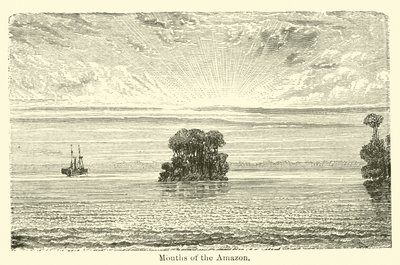 Mouths of the Amazon by American School