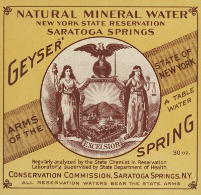 Natural Mineral Water, New York State Reservation, Saratoga Springs by American School