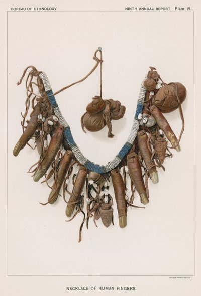 Necklace of Human Fingers by American School