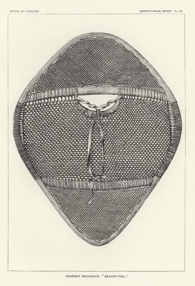 Nenenot Snowshoe - Beaver-Tail by American School