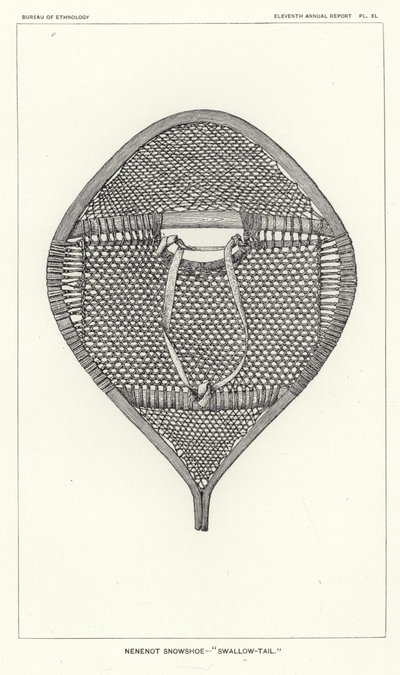 Nenenot Snowshoe - Swallow-Tail by American School