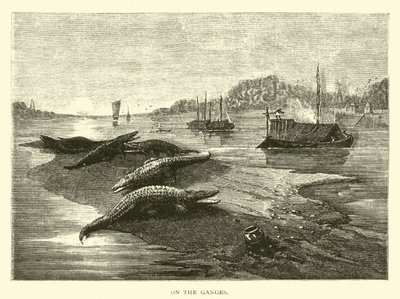 On the Ganges by American School