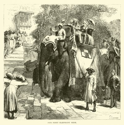 Our First Elephant Ride by American School