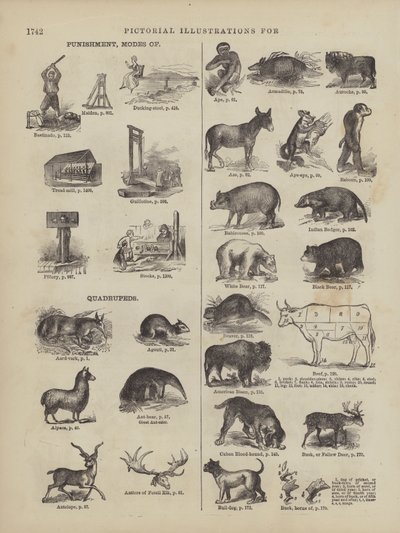 Page from Webster