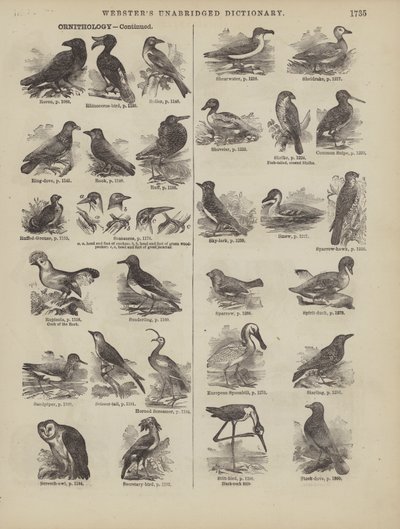 Page from Webster