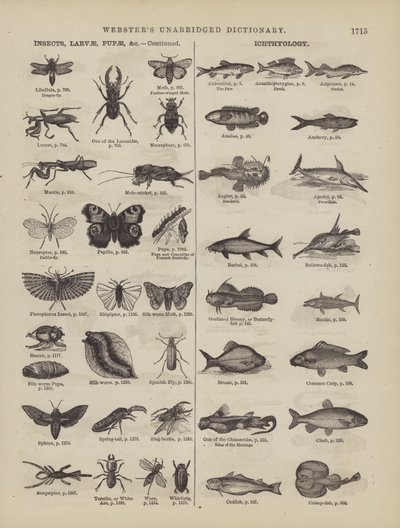 Page from Webster