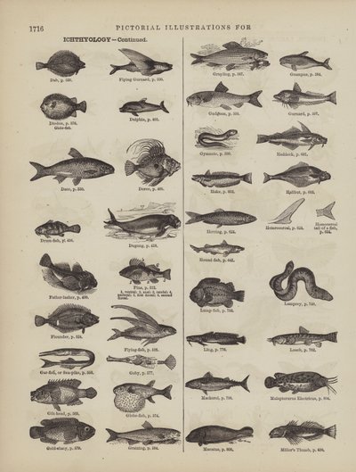 Page from Webster
