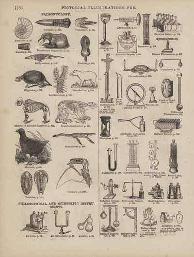 Page from Webster