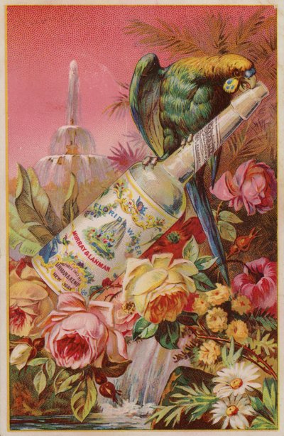 Parrot with Bottle of Water by American School