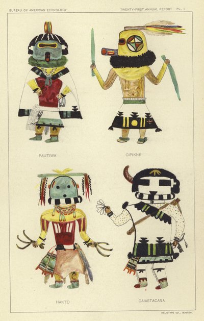 Pautiwa, Cipikne, Hakto, Caiastacana by American School