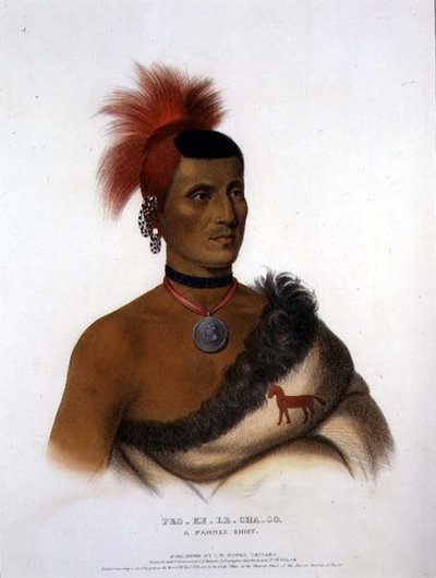 Pes-Ke-Le-Cha-Co, A Pawnee Chief, pub. by J. T. Bowen by American School
