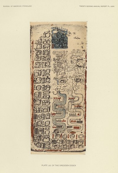 Plate LXI of the Dresden Codex by American School