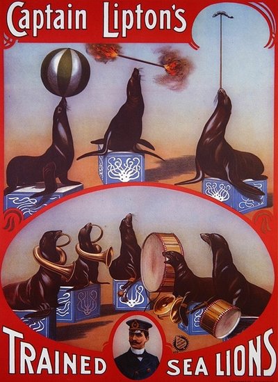 Poster advertising 