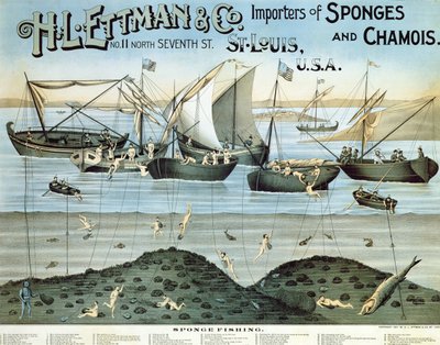 Poster advertising H.L. Ettman & Co., Importers of Sponges and Chamois, 1897 by American School