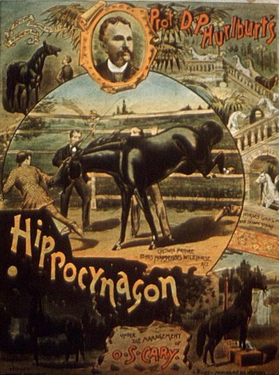 Poster advertising Professor D. H. Hurlburt