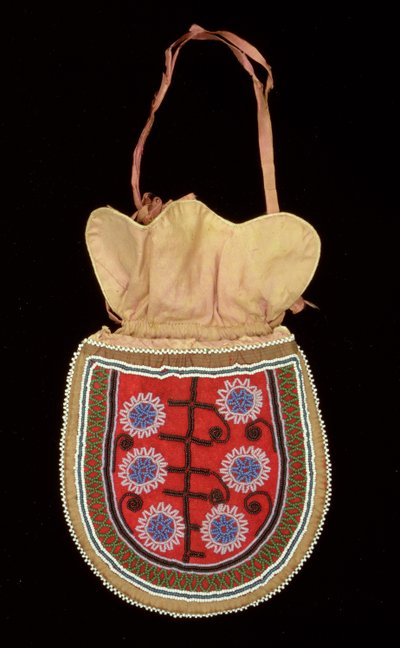 Pouch by American School