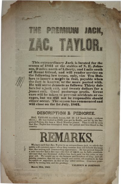 Proceedings and Address of the Constitutional Convention, c.19th March 1861 by American School