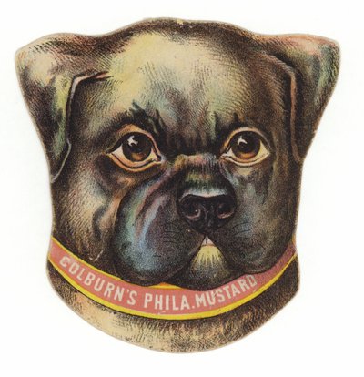 Pug Dog Head by American School