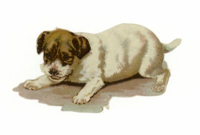 Puppy Playing by American School