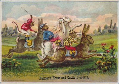 Rabbits Racing by American School