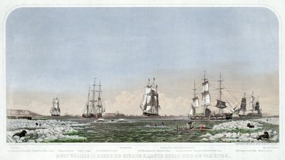 Right Whaling in Behring Straits & Arctic Ocean with its Varieties, pub. 1871 by American School