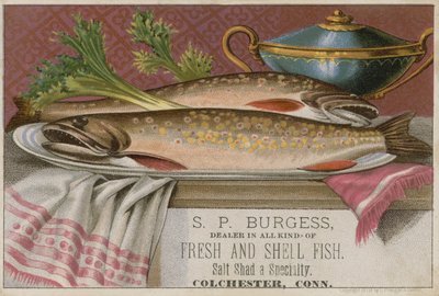 S P Burgess, Trade Card by American School