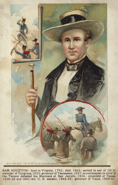 Sam Houston by American School