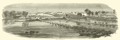Sedgwick