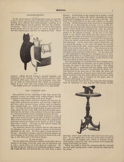 Shadowgraphy, The Cat, The Vanished Hat by American School
