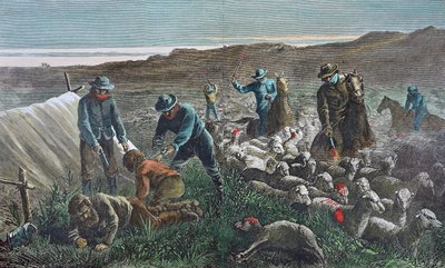 Sheep slaughter during the Pleasant Valley Range War, Arizona by American School