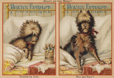 Sick Dog In Bed by American School