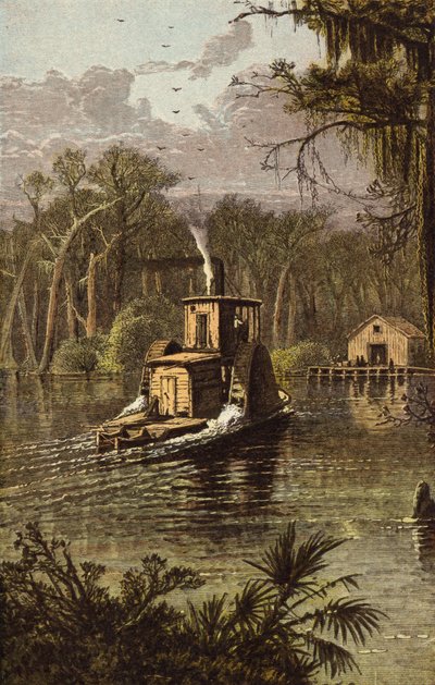 Silver Spring, Florida by American School