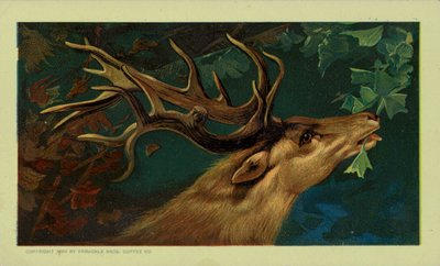 Stag Eating Leaves by American School