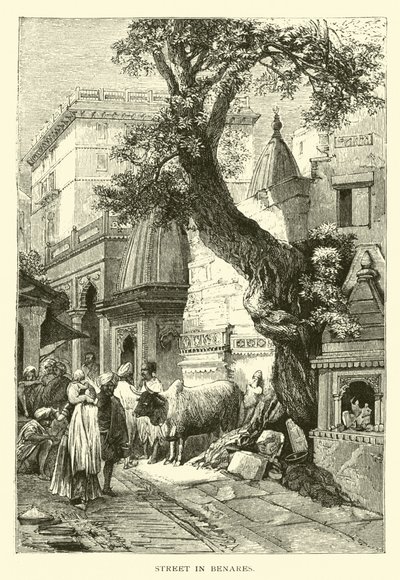 Street in Benares by American School