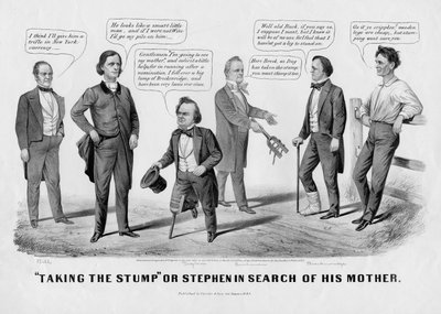 Taking the Stump, or, Stephen in Search of His Mother by American School