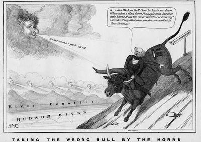 Taking the Wrong Bull by the Horns by American School