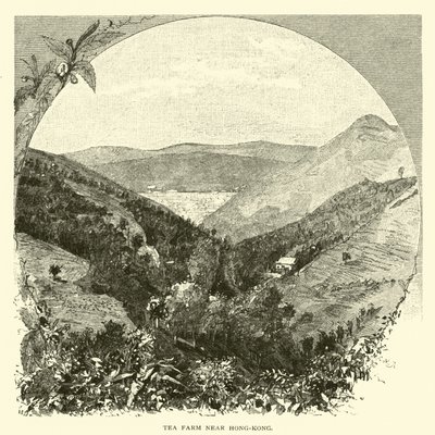 Tea Farm Near Hong Kong by American School