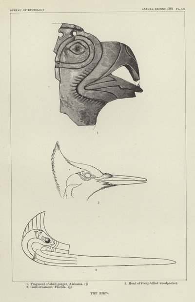 The Bird by American School