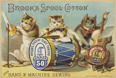 The Cat Band by American School