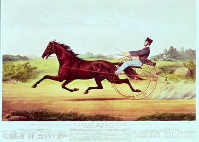 The Celebrated Horse, George M. Patchen, The Champion of the Turf by American School