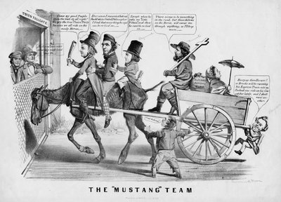 The Mustang Team by American School