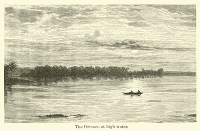 The Orinoco at high water by American School