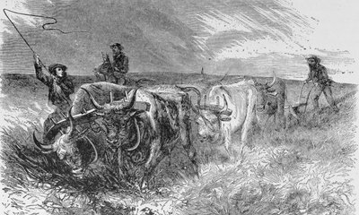The Prairie Sod Plow, illustration from 