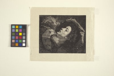 The Young Squire by American School