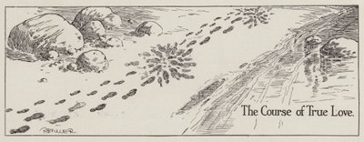 The Confused Path of True Love by American School